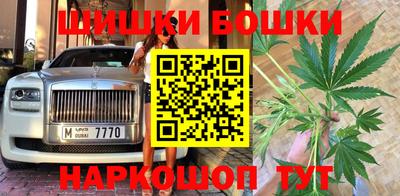 стаф Донской