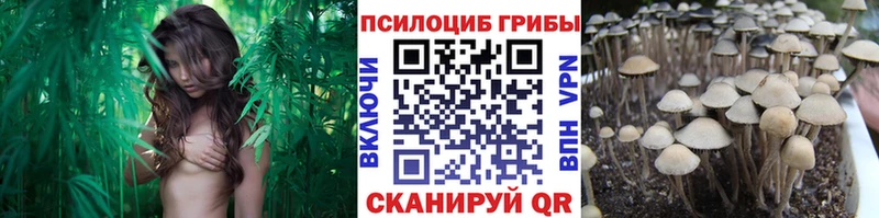 дарнет шоп Новокубанск Псилоцибиновые грибы мухоморы