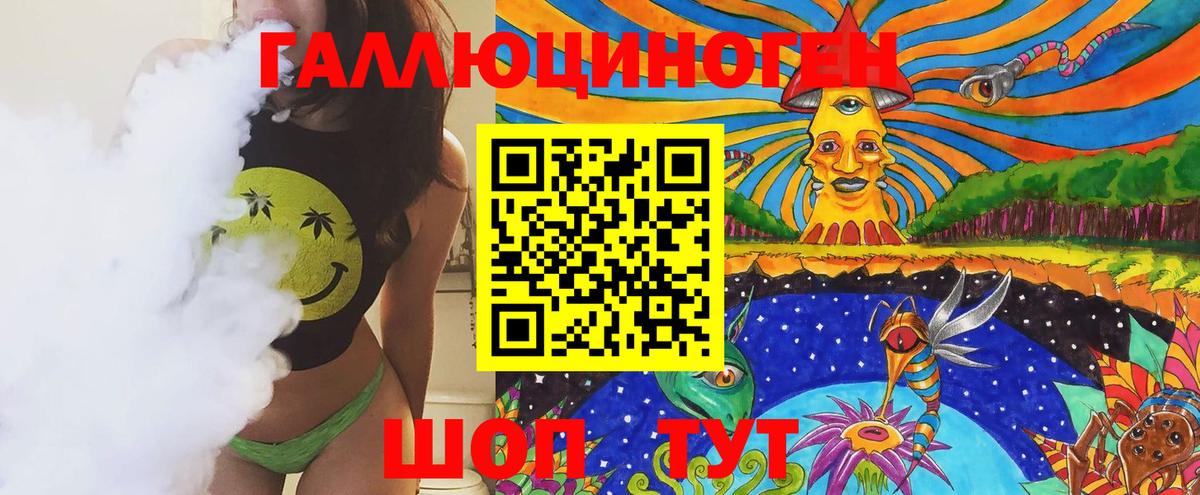 Новокубанск  где купить   Вход с VPN  Псилоцибиновые грибы GOLDEN TEACHER 
