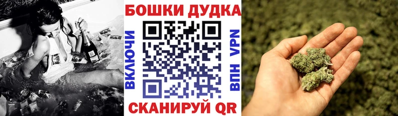Канабис MAZAR  omg ССЫЛКА  Новокубанск  закладка 